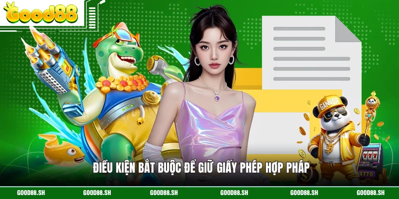 Điều kiện bắt buộc để giữ giấy phép hợp pháp