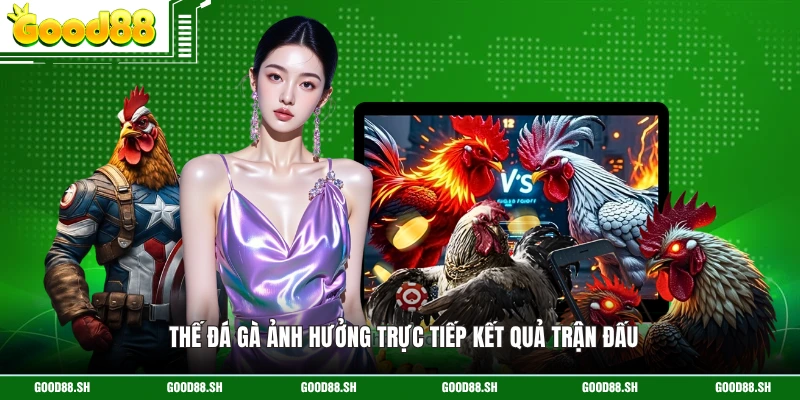 Thế đá gà ảnh hưởng trực tiếp kết quả trận đấu